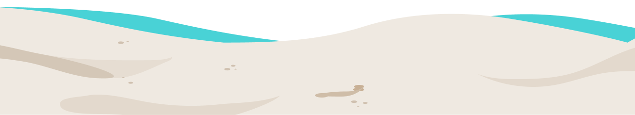 Sandy beach with ocean waves